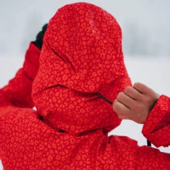 Burton [ak] Gore-Tex Upshift Skijacke Panthera Damen -PICT Snow Geschaft burton ak gore upshift jacket 21282103962 02 gross