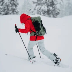 Burton [ak] Gore-Tex Upshift Skijacke Panthera Damen -PICT Snow Geschaft burton ak gore upshift jacket 21282103962 08 gross