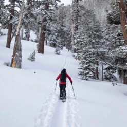 Jones High Sierra Schneehose Stealth Black Herren 12 Jones High Sierra Schneehose Stealth Black Herren -PICT Snow Geschaft jones high sierra pant stealth black 05 grosswzuHXuOY1M5As